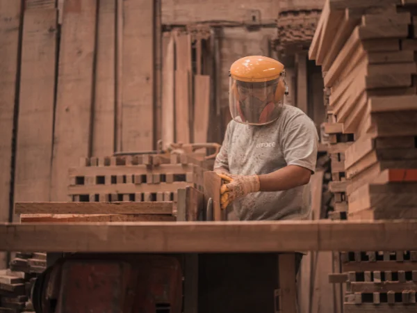 cos'è un fattore di lavoro